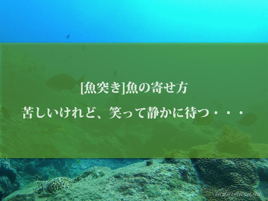 魚突き 魚の寄せ方 苦しいけれど 笑って静かに待つ おかえり